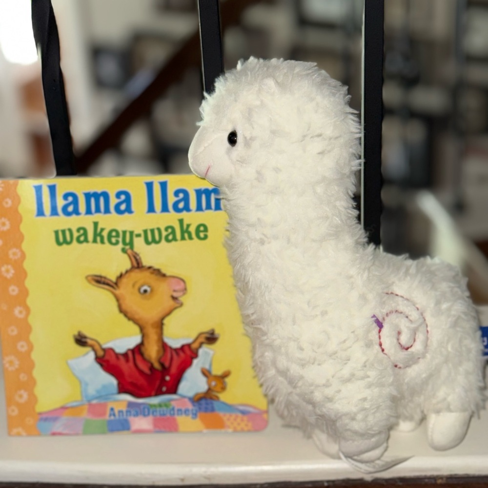 Llama Llama Children’s Book & Plush Gift Set